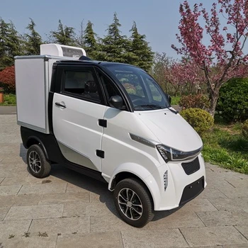 COC Food Delivery Van Icecream Car Loading Cargoes 300kg
