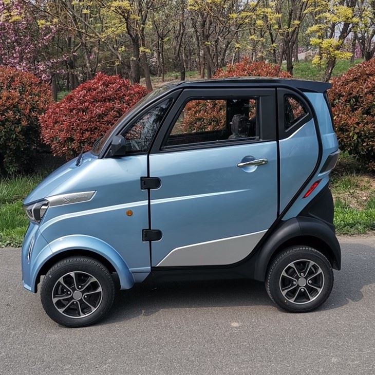 COC Mini Smart Electric Vehicle For The Old