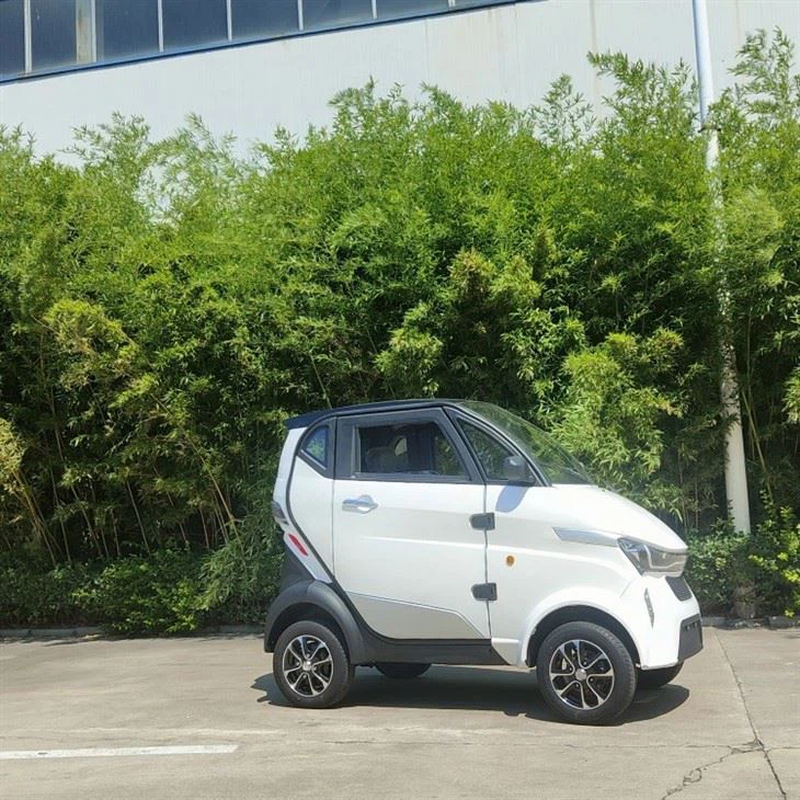 Mini Electric Car 4 Wheels L6e