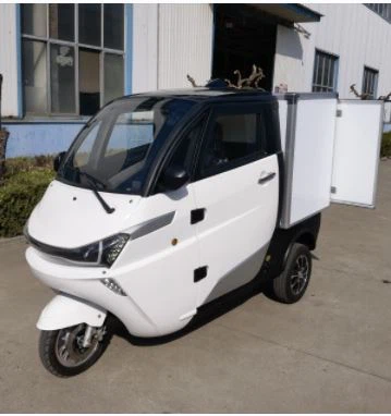Mini Electric Truck Without Driving Licence Good Quality Closed Cargo Tricycle