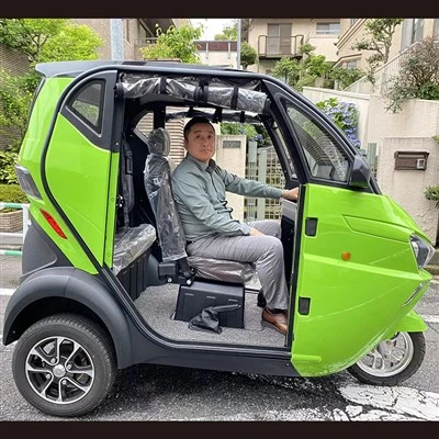 Triciclo elettrico a 2 posti, CE 3 ruote auto moto Tuktuk