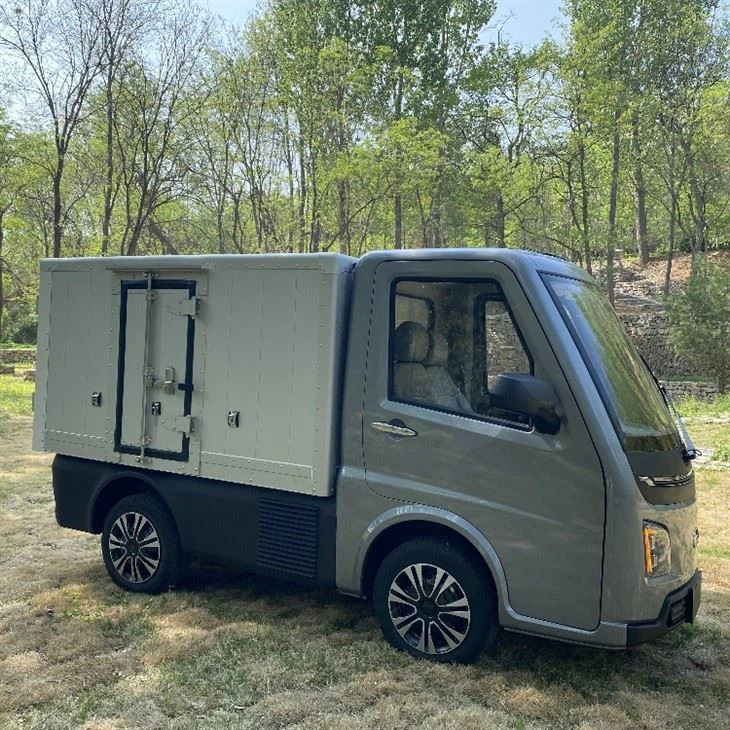 Auto elettrica da trasporto Runhorse con certificato CEE